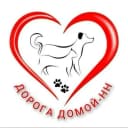 Канал ДОРОГА ДОМОЙ - Нижний Новгород( Поиск животных ) в MAX