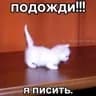 Стикеры ля в MAX