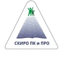 Канал СКИРО ПК и ПРО в MAX