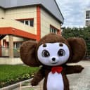 Канал МБДОУ г. Иркутска детский сад 82 в MAX