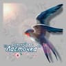 MAX-канал МКДОУ Детский сад №2 «Ласточка»