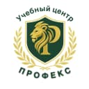 Канал Учебный центр «ПРОФЕКС» в MAX