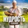 MAX-канал Мудрость трав