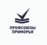 MAX-канал Профсоюзы Приморья
