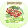 MAX-канал МДОУ "Муниципальный детский сад "Рябинка"