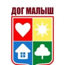 Канал ГБДОУ ДОГ "Малыш" в MAX