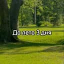 Стикеры Набор стикеров До лета в MAX