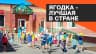 MAX-канал МАДОУ "Ягодка"