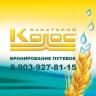 MAX-канал Санаторий «Колос»