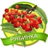 MAX-канал МБДОУ №5 "Рябинка"