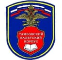Канал ТМКК имени Л.С. Дёмина в MAX