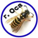 Канал Оса | Осинский район, Пермский край - Объявления в MAX