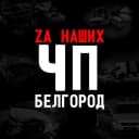 Канал Белгород в MAX