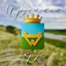 MAX-канал Ординский округ