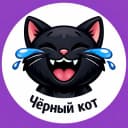 Канал Черный кот 😹 Юмор и приколы в MAX