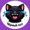 MAX-канал Черный кот 😹 Юмор и приколы