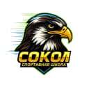 Канал МАУ ДО СШ "Сокол" в MAX