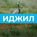 Канал Иджилское СМО в MAX