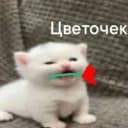 Группа уголок общения в MAX