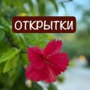 Канал 🌺ОТКРЫТКИ, СТИКЕРЫ, ФОТО ДЛЯ СТОРИС.🌺 в MAX