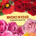 Канал Кинотеатр ВОСХОД 3D (Адамовка) в MAX