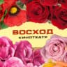 MAX-канал Кинотеатр ВОСХОД 3D (Адамовка)