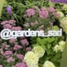 MAX-канал Садовый центр Gardens I Москва