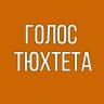 MAX-канал Голос Тюхтета