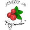 MAX-канал МБДОУ 14 «Брусничка» г. Сургут