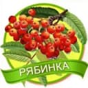 Канал МДОУ д/с "Рябинка" г. Балашова в MAX