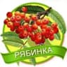 MAX-канал МДОУ д/с "Рябинка" г. Балашова