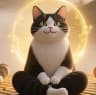 MAX-канал Современная эффективная психотерапия — это дхамма