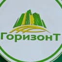 Канал Горизонт в MAX