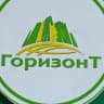 MAX-канал Горизонт