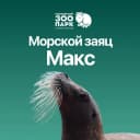 Канал Морской заяц Макс в MAX