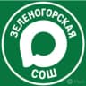 MAX-канал МБОУ «Зеленогорская средняя общеобразовательная школа»