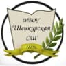 MAX-канал МБОУ "Шенкурская СШ"