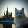 MAX-канал НОВОСТИ ЙОШКАР-ОЛА МАРИЙ ЭЛ