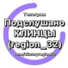 MAX-канал Подслушано Клинцы (region_32)