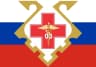 MAX-канал ГБУЗ СО "ТССМП"