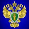 MAX-канал Прокуратура Амурской области