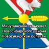 MAX-канал Администрация Мичуринского сельсовета Новосибирского района