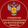 MAX-канал Управление Роспотребнадзора по Воронежской области