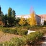 MAX-канал ГАСУ СО АО Наримановский дом-интернат