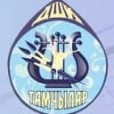 Канал МБУДО "ДШИ "Тамчылар" г.Нижнекамск в MAX