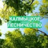 MAX-канал КУ РК «Калмыцкое лесничество»