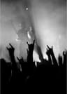 MAX-канал METAL