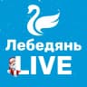 MAX-канал Лебедянь LIVE
