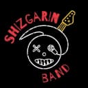 Канал ShizGarin band | Вокально-инструментальный ансамбль в MAX