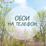 MAX-канал Обои на телефон